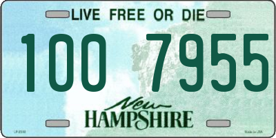 NH license plate 1007955