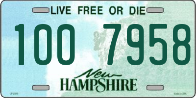 NH license plate 1007958