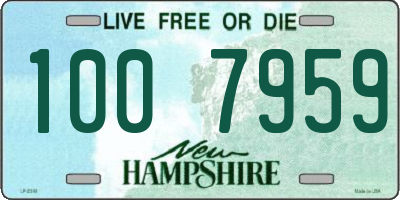 NH license plate 1007959