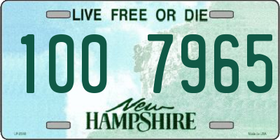 NH license plate 1007965