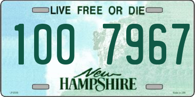 NH license plate 1007967