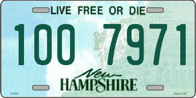 NH license plate 1007971