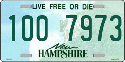 NH license plate 1007973