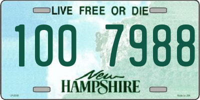 NH license plate 1007988