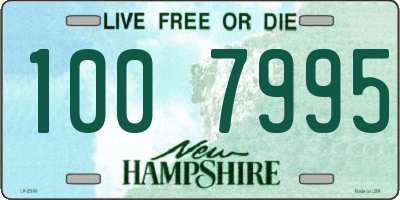 NH license plate 1007995