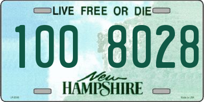 NH license plate 1008028