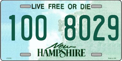 NH license plate 1008029