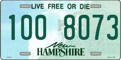 NH license plate 1008073