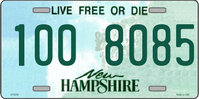 NH license plate 1008085