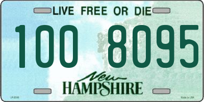 NH license plate 1008095