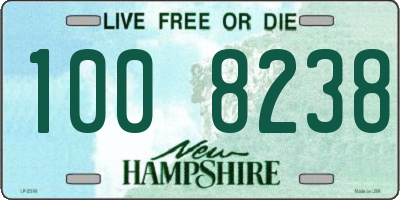 NH license plate 1008238