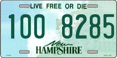 NH license plate 1008285