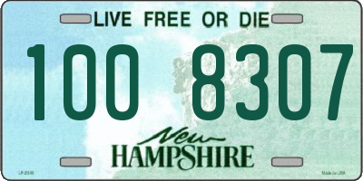 NH license plate 1008307