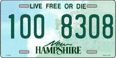 NH license plate 1008308