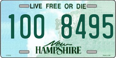 NH license plate 1008495