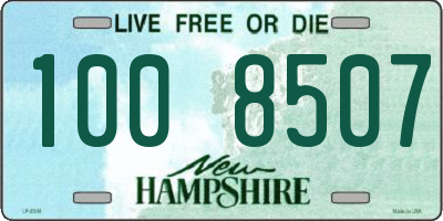 NH license plate 1008507