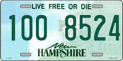 NH license plate 1008524