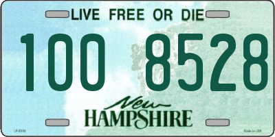 NH license plate 1008528