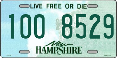 NH license plate 1008529