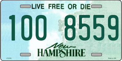 NH license plate 1008559