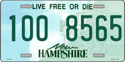 NH license plate 1008565