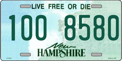 NH license plate 1008580