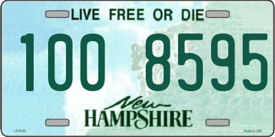 NH license plate 1008595