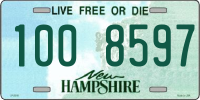 NH license plate 1008597