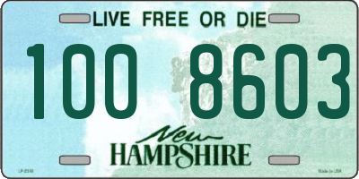NH license plate 1008603