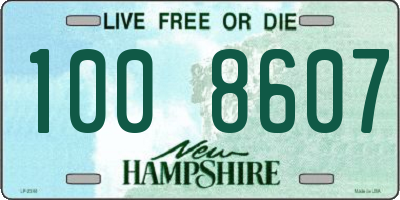 NH license plate 1008607