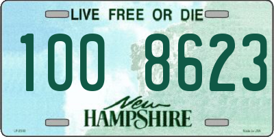 NH license plate 1008623