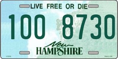 NH license plate 1008730