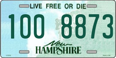 NH license plate 1008873