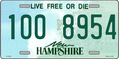NH license plate 1008954