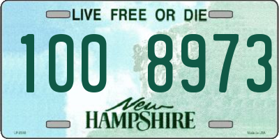 NH license plate 1008973
