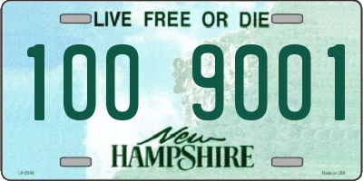 NH license plate 1009001