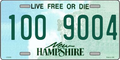 NH license plate 1009004