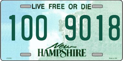 NH license plate 1009018
