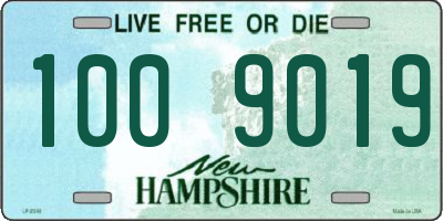 NH license plate 1009019