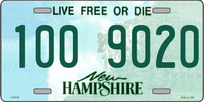 NH license plate 1009020