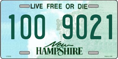 NH license plate 1009021