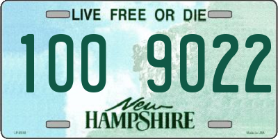 NH license plate 1009022