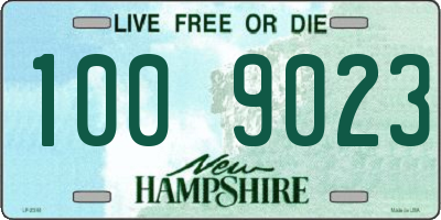 NH license plate 1009023