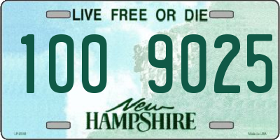 NH license plate 1009025