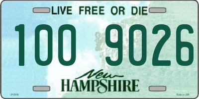 NH license plate 1009026