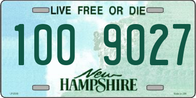 NH license plate 1009027