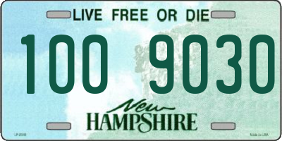 NH license plate 1009030
