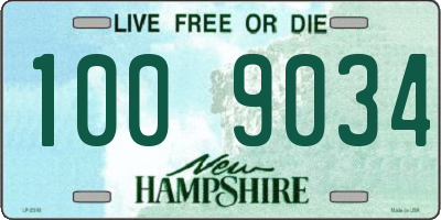 NH license plate 1009034