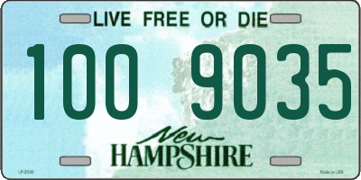 NH license plate 1009035