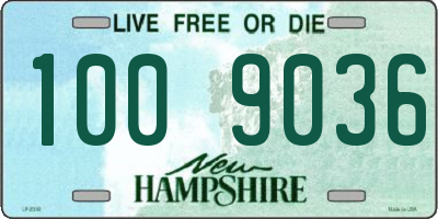 NH license plate 1009036